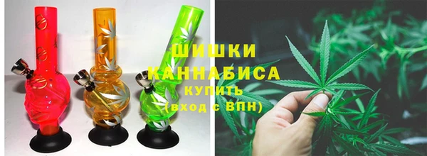 сатива Богородицк