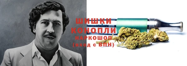 сатива Богородицк