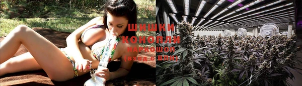 ALPHA PVP Богородск