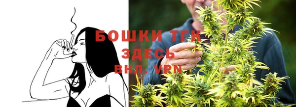 сатива Богородицк