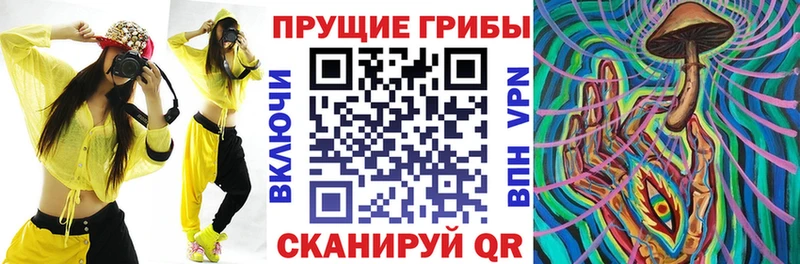 Галлюциногенные грибы мицелий  гидра ССЫЛКА  Шали  купить  